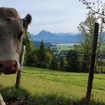 Alpenblick 3, Bergblick Pur Im Allgäu Halblech