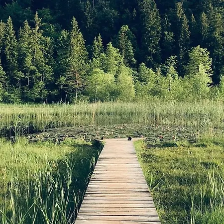 Apartment Alpenblick 3, Im Allgaeu, Bergblick Pur - Neueroeffnung! *
