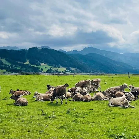 Alpenblick 3, Im Allgaeu, Bergblick Pur - Neueroeffnung! *