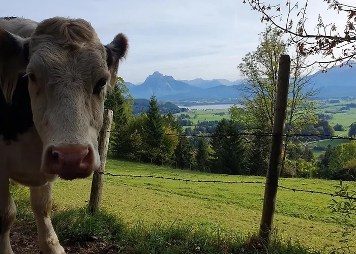 Alpenblick 3, Im Allgäu, Bergblick Pur - Neueröffnung! Halblech