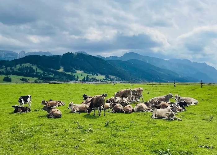 Alpenblick 3, Im Allgaeu, Bergblick Pur - Neueroeffnung! *