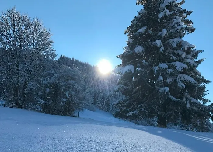 Alpenblick 3, Im Allgäu, Bergblick Pur - Neueröffnung! Apartment *